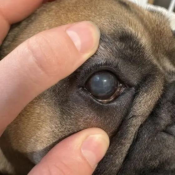 His eye saved his back.