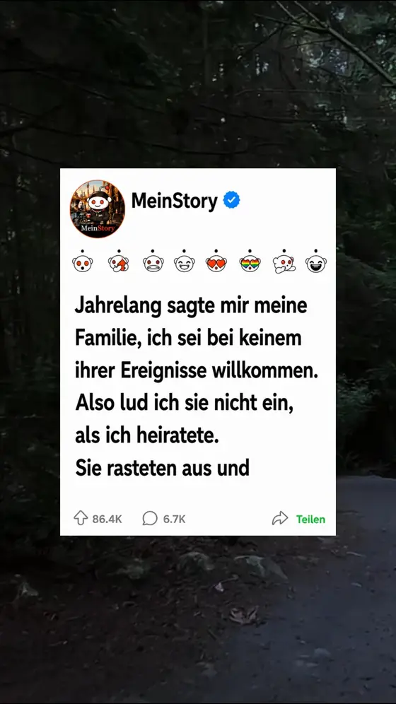 MeinStory