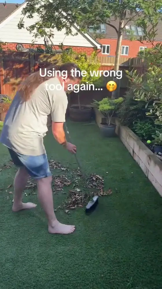 Multi-Purpose Lawn & Carpet Grooming Rake