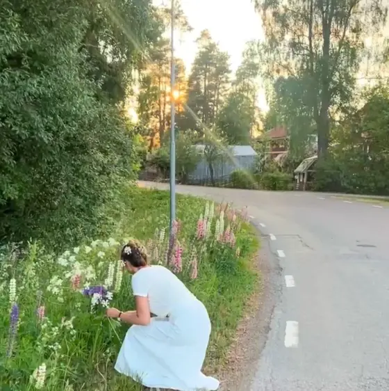 Sommarhy med SCANDIFACE