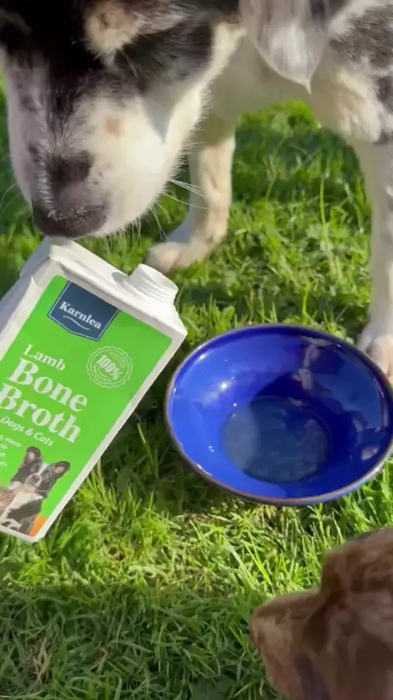 Bone Broth made easy!