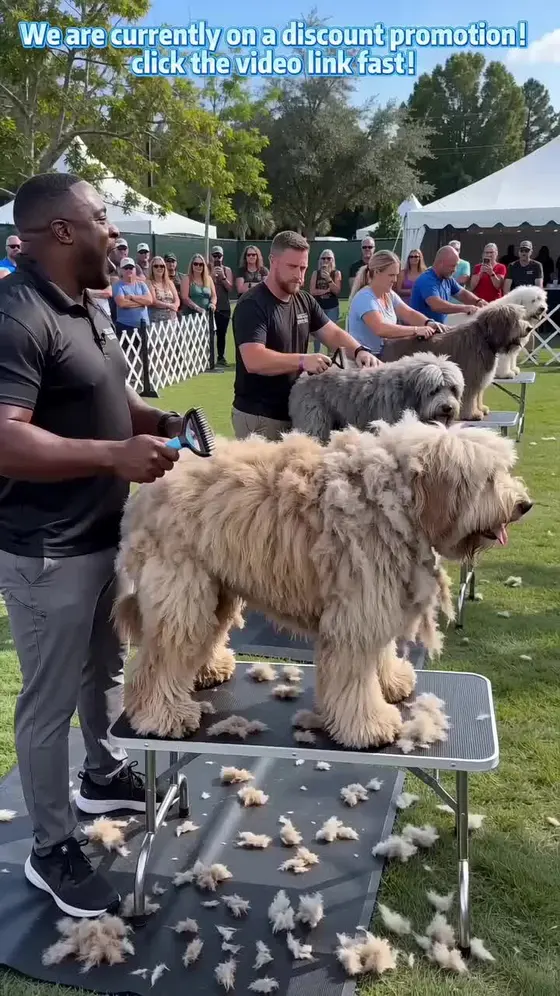 New Pet Pro Grooming Tool