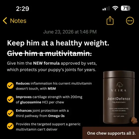 The Missing Piece Your Multivitamin Never Had