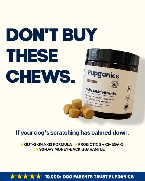 Read Before You Buy These Chews.