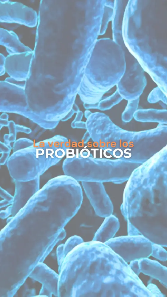 Si quieres aprender más sobre probióticos y 19+ suplementos.. cree un manual es…