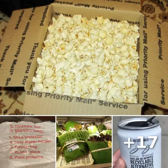 Genius "Green" Ideas That Are Actually Just Really Clever