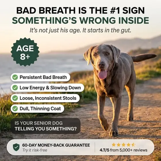 See why our Vet Formulated powder has over 5,000+ five-star reviews.