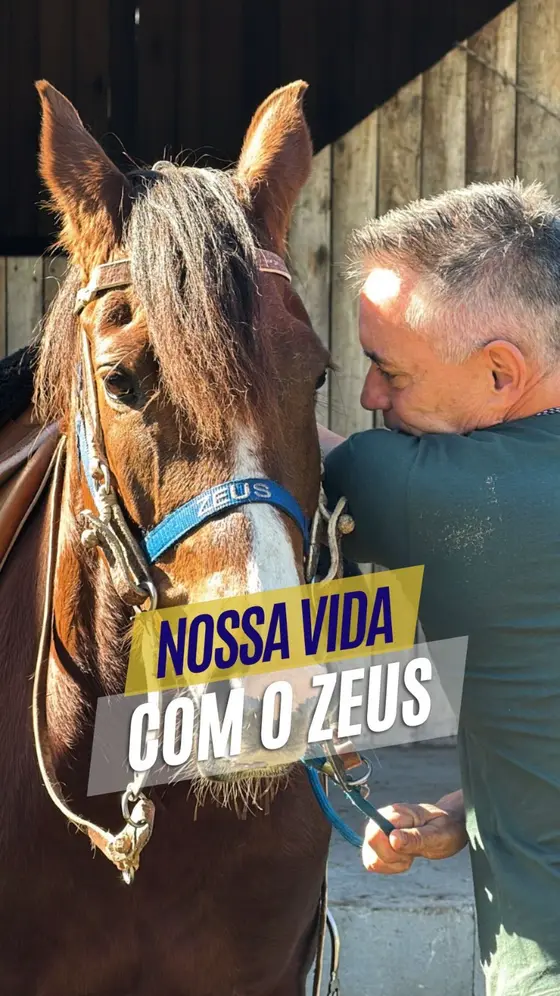 Como é a nossa vida cuidando de um cavalo? 🐴