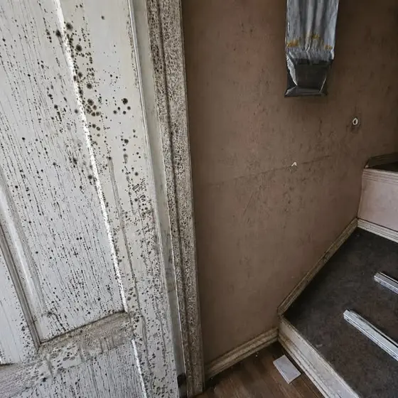 Mold. COPD. A housing association that won't move. I stopped waiting.
