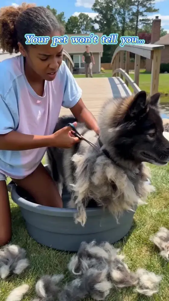 New Pet Pro Grooming Tool
