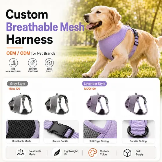 Build Your Pet Brand with Custom Gear