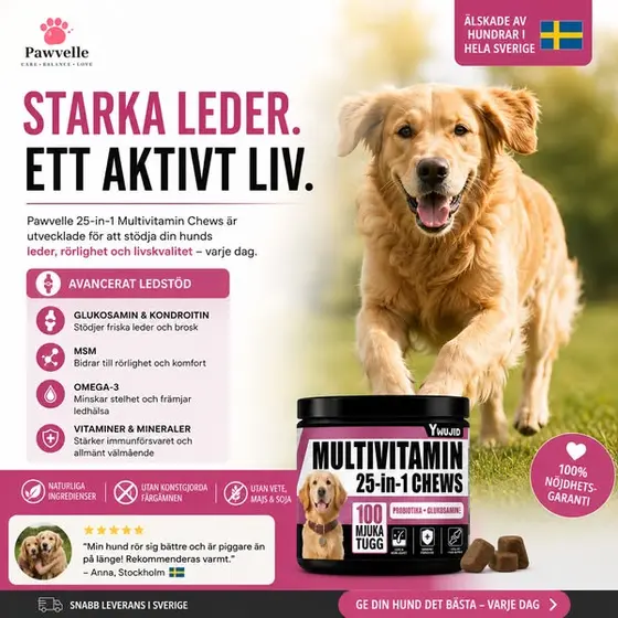 Starka Leder. Ett Aktivt Liv.