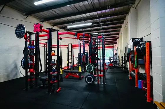 Do you attend circuit/bootcamp classes? 🏋️‍♀️

Looking for a new & fresh chall…