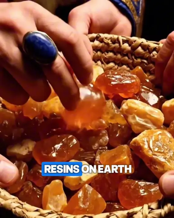 A Step-by-Step Guide to 200+ Natural Remedies