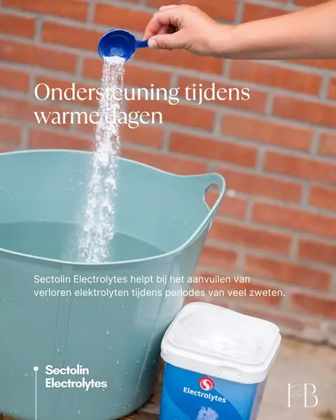 Waarom zijn elektrolyten zo belangrijk voor een paard dat zweet? 💦🐴
Eén va…