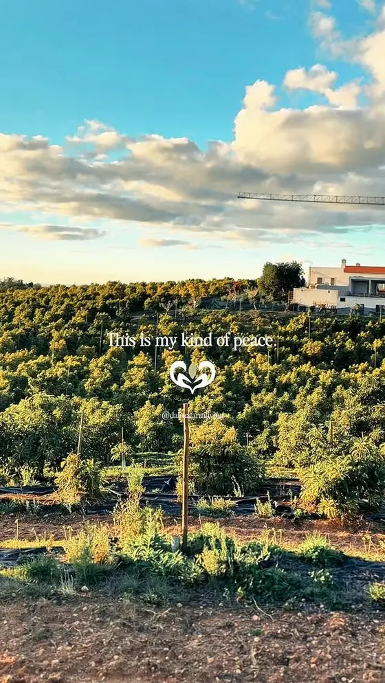 the type of peace I need 🌱 #slowliving #naturelover #green #farm #portugal
