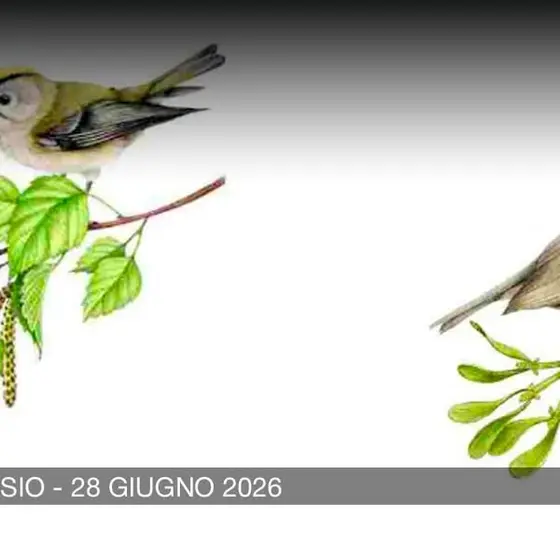 Vito d'Asio 28 Giugno