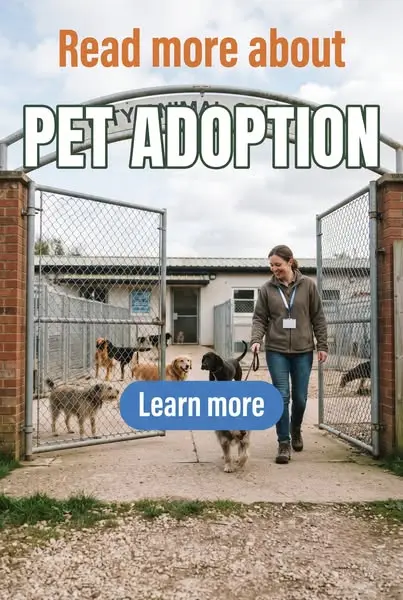 Read more about  Pet Adoption. Learn more!