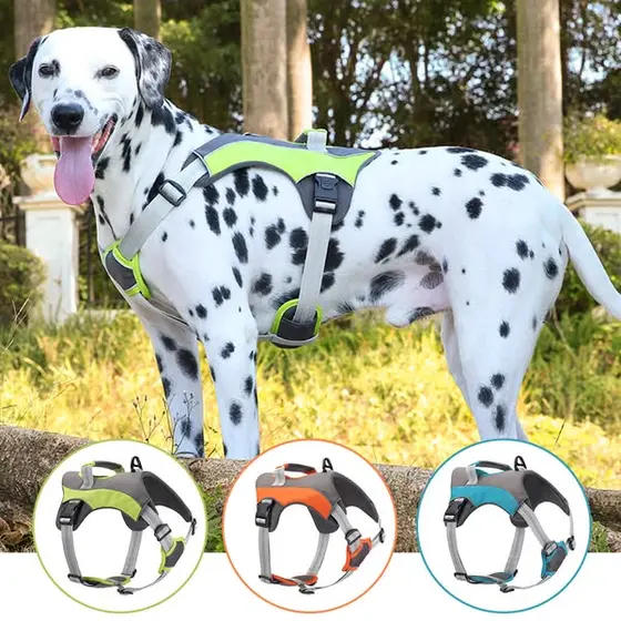 No-Pull Dog Harness & Leash Set