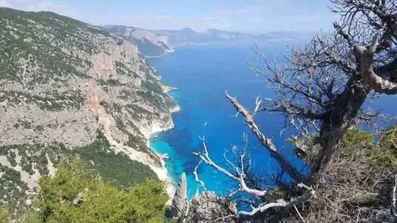 Punta Salinas Goloritzè