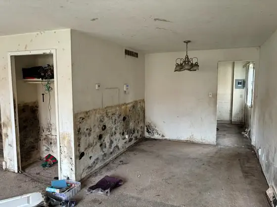 Recover From Mold Exposure Naturally