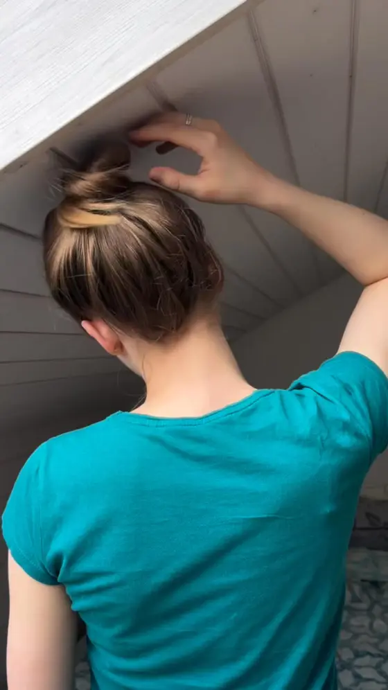 Healthy hair starts at the scalp