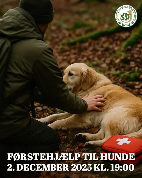🐾 Førstehjælp til hunde i felten – læring og inspiration 🐾
📅 2. december 202…