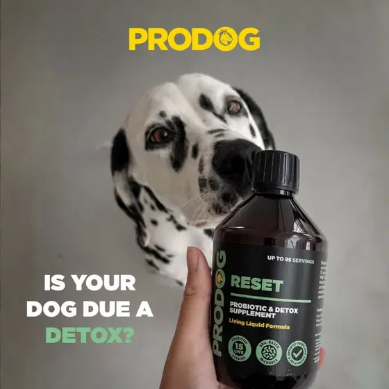 Probiotic + Detox Support