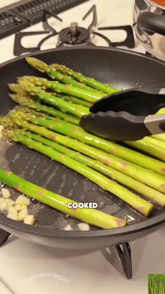 Four Seasons Asparagus Mary Washington Seeds
