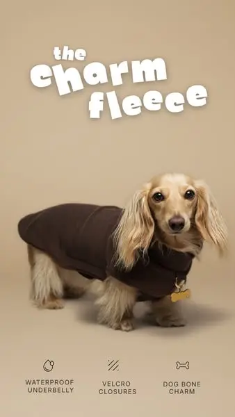 Built For Dachshunds. Not Adapted For Them.