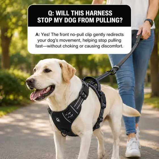 🐶 Click Here, Get Yours Now! 🐶