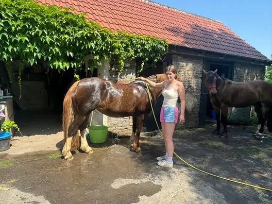 ☀️ Keeping Our Horses Cool During the Heatwave ☀️

A huge thank you to my amazi…