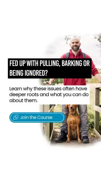 Free 9-Part Dog Relationship Course