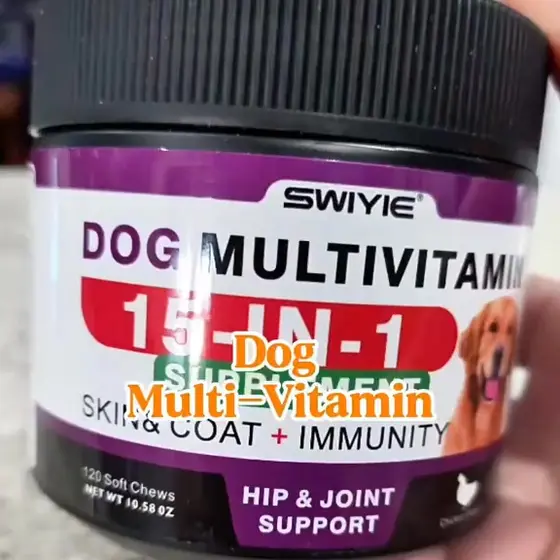 The Daily Chew Dog Owners Are Talking About