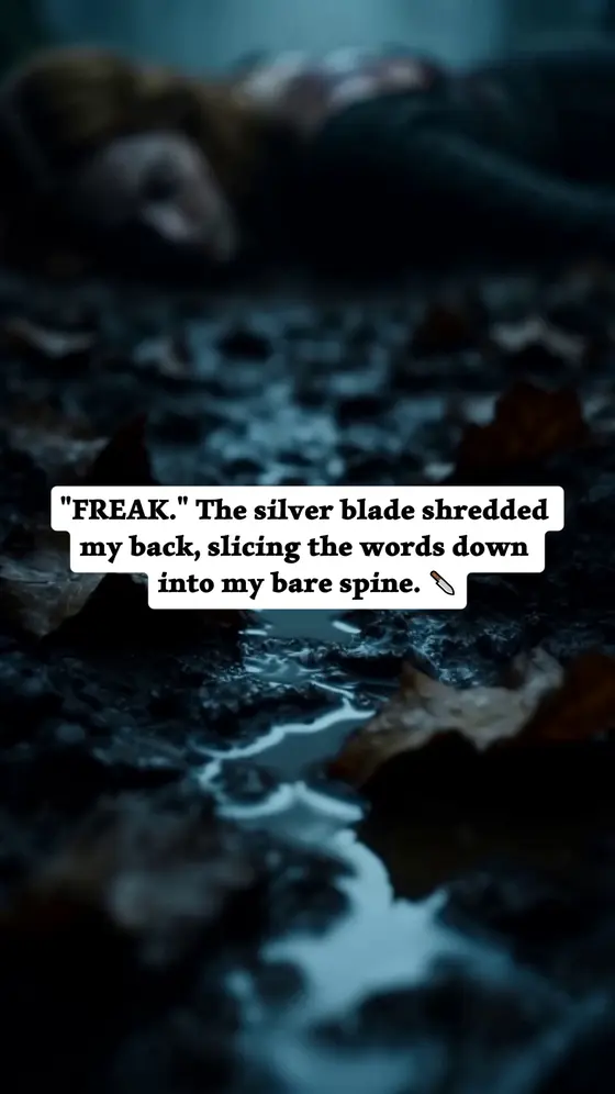 ❤️Click to read more exciting content❤️