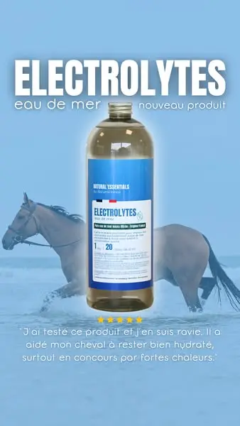 Réhydratation naturelle pour votre cheval. 🌊