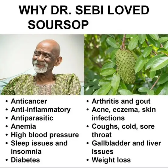Repair Your Cells, improve Your Energy