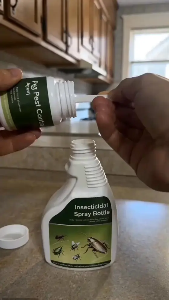 Dealing with cockroaches, ants, spiders, or bed bugs at home? Stop putting up w…