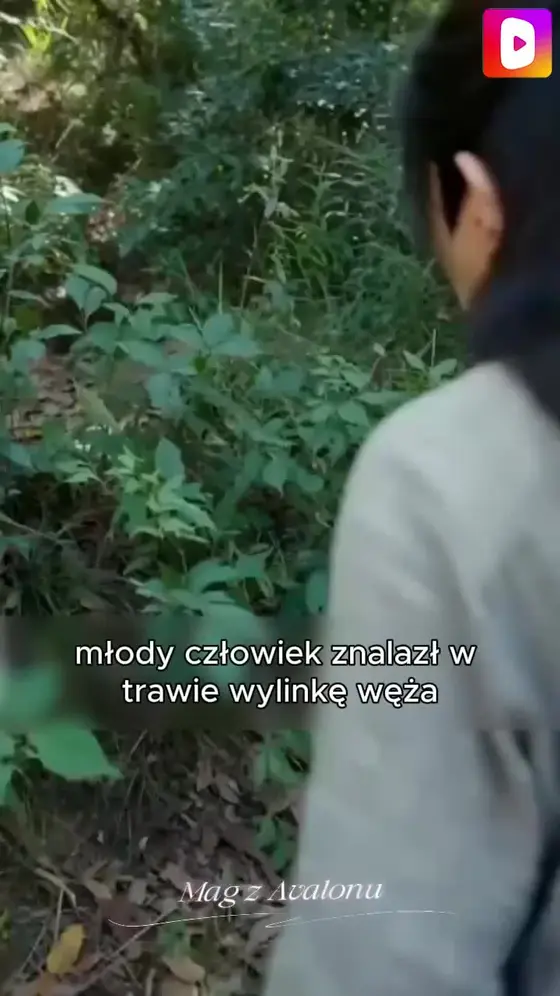 Mag z Avalonu