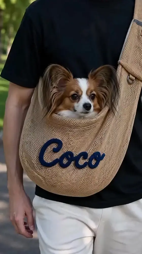 Personalized Hand Embroidered Breathable Mesh Pet Carrier🔥
