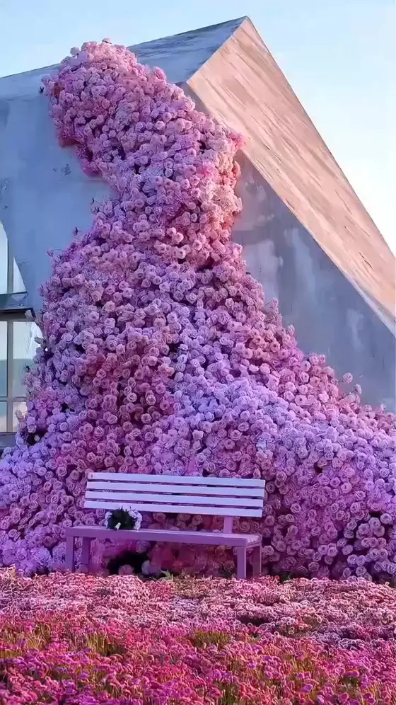 Brighten your garden effortlessly with climbing roses! 🌹 Known as the "wall-cr…