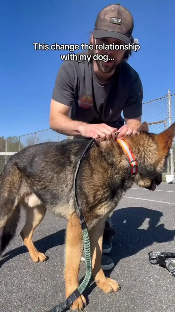 "I used to dread taking him out... now it's our favorite time of day." 🥺🐕🦺