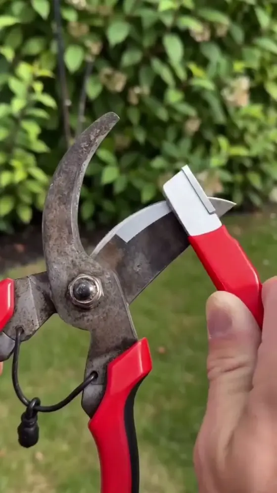 🌿 Multi-Purpose Garden Tool Blade Sharpener Set | Portable Manual Blade Grindi…