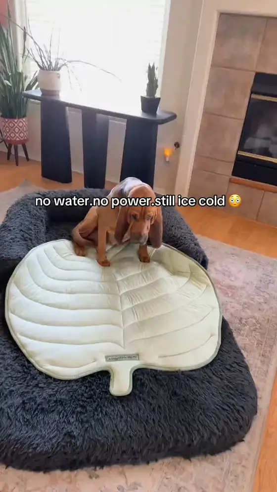 A Cooler Spot for Hot Days