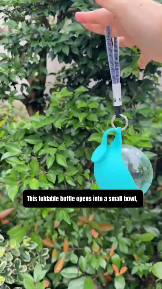 Dog Water Bottle – Portable 2-in-1 Travel Cup