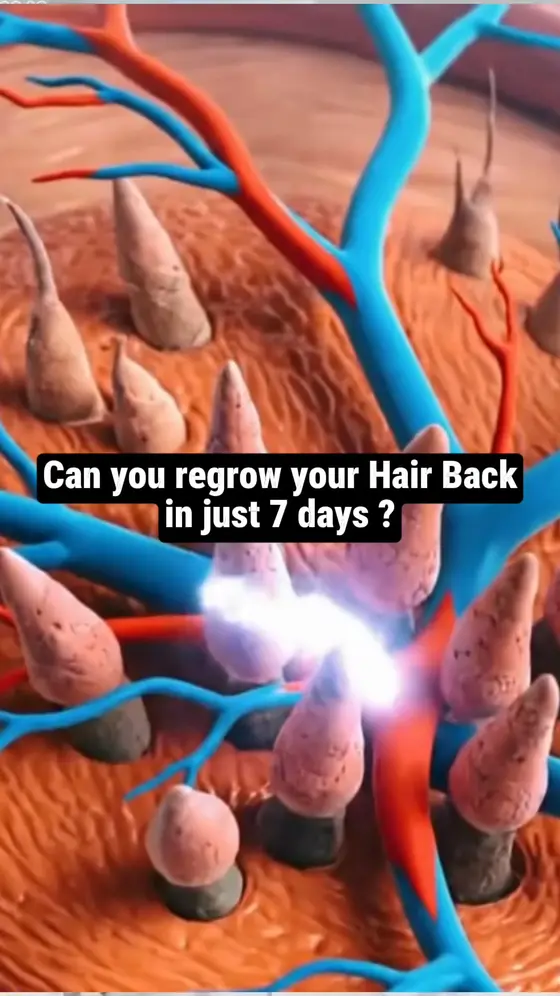 Can you regrow your hair in 7 days?