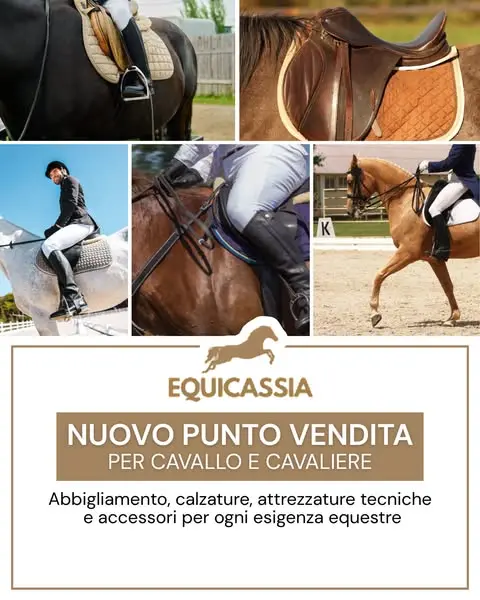 🐴 Hai un cavallo o pratichi equitazione?
Qui trovi tutto ciò che serve per il…