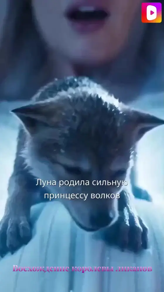 Восхождение королевы ликанов