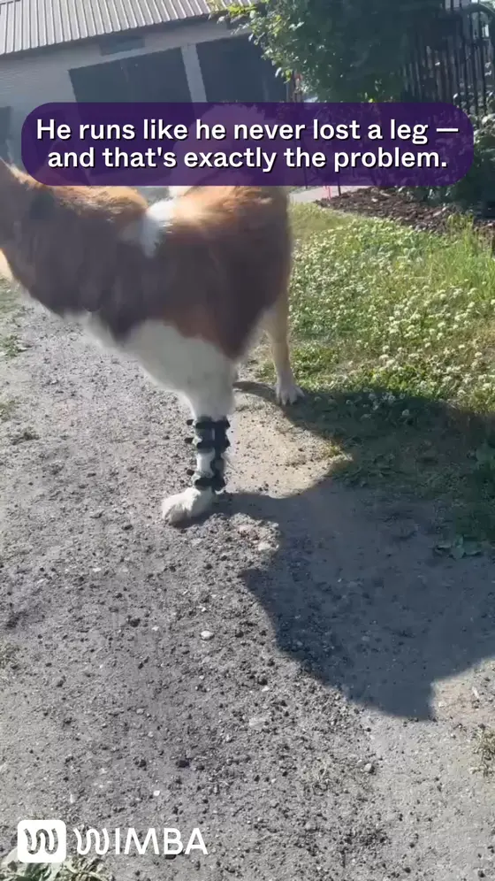 Protect the leg that does the most