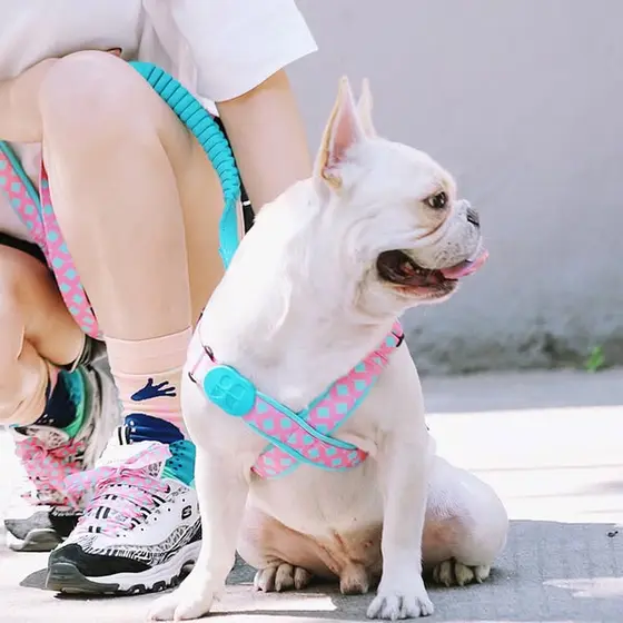 No-Choke X Harness for Safer Walks